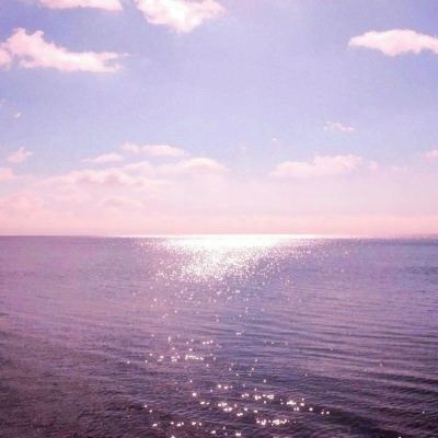 安博体育的最新版本