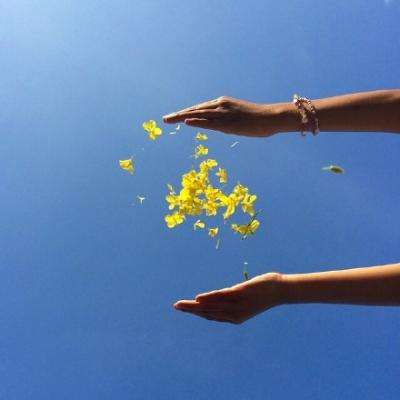 im电竞·(中国)官方网站