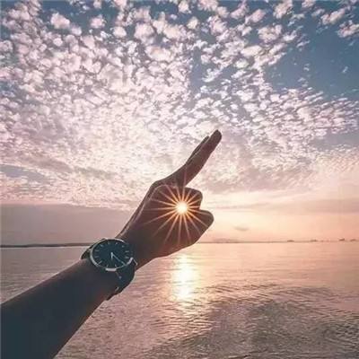 开云APP官方下载