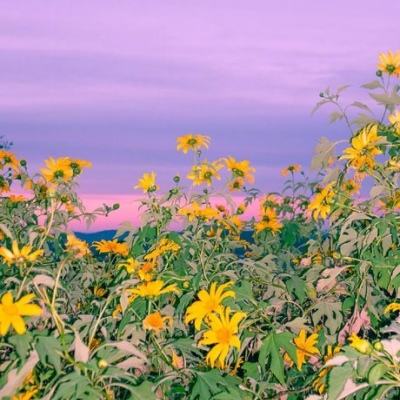 星空app官方网页