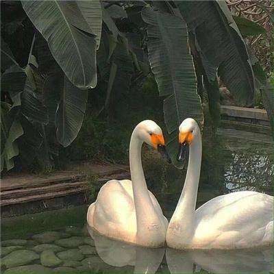 南宫28官网入口下载截图