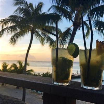 万博体育APP网址