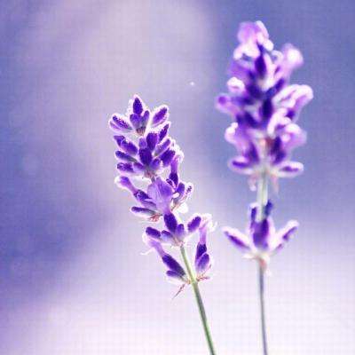 永乐国际手机app下载